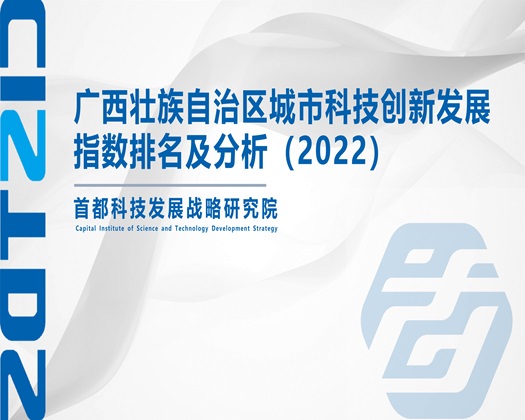 逼痒插我逼视频【成果发布】广西壮族自治区城市科技创新发展指数排名及分析（2022）